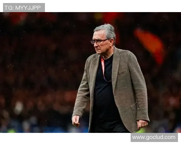 足球明星伊维奇的生平故事与精彩瞬间全解析