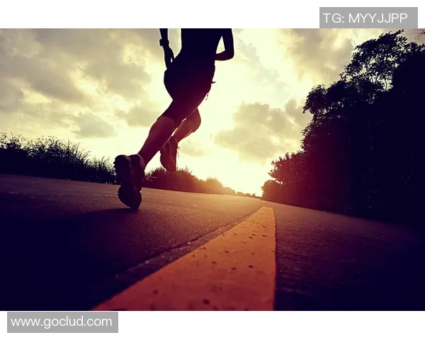 篮球场上的荣耀与坚持我的明星之路日记